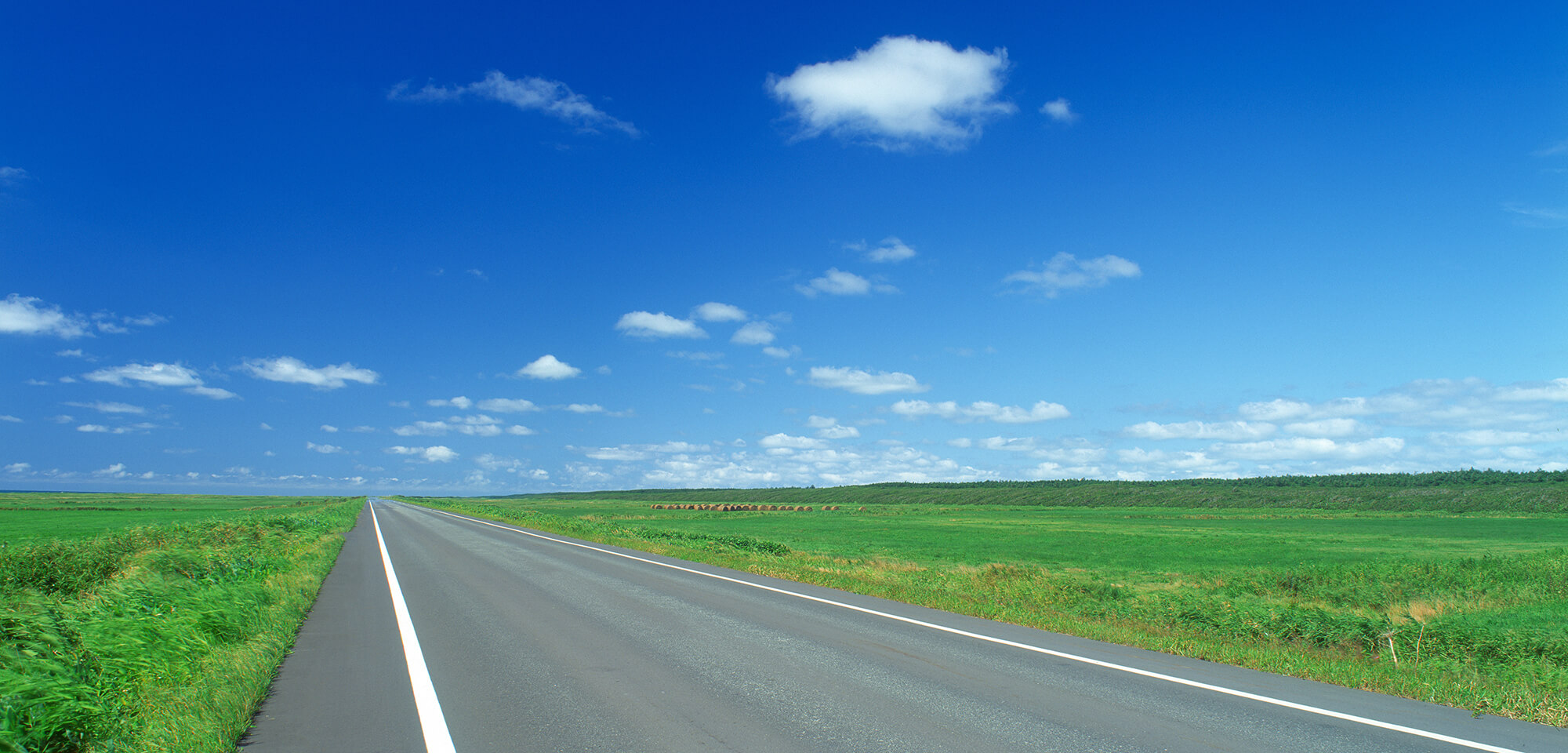 税理士　西野会計事務所